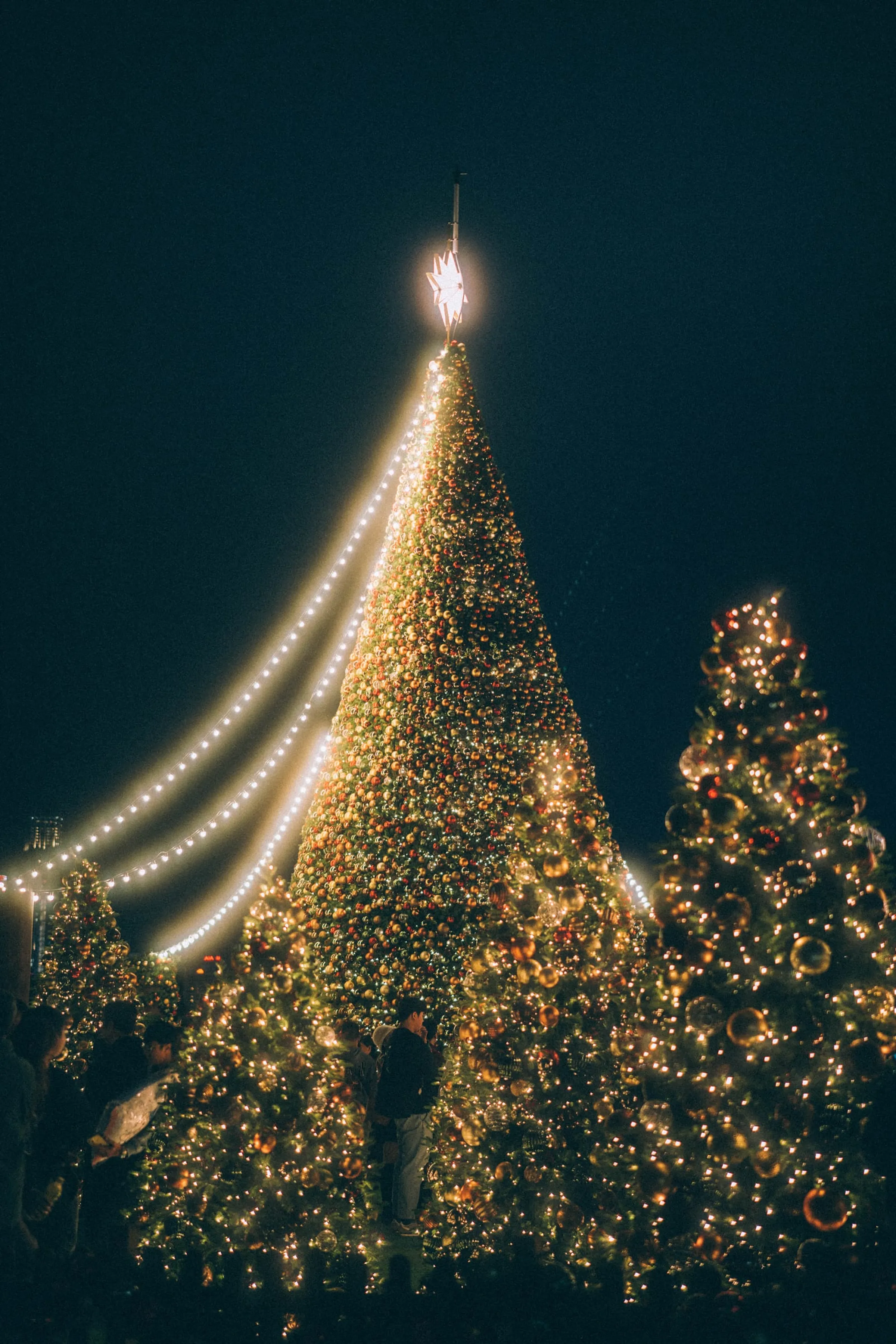 December Liturgy · 7