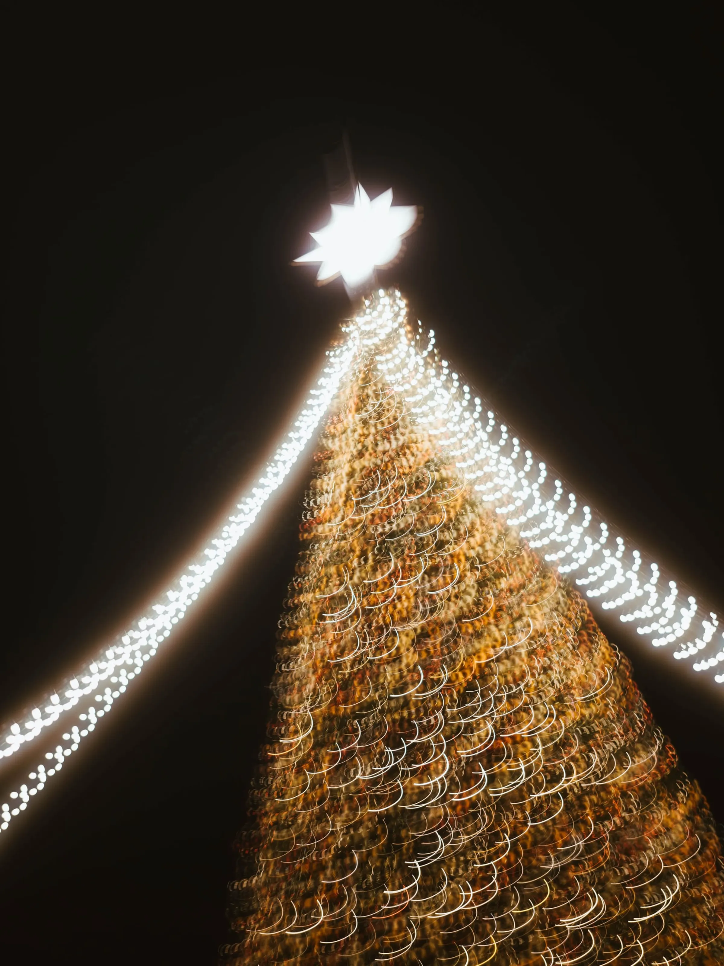 December Liturgy · 9