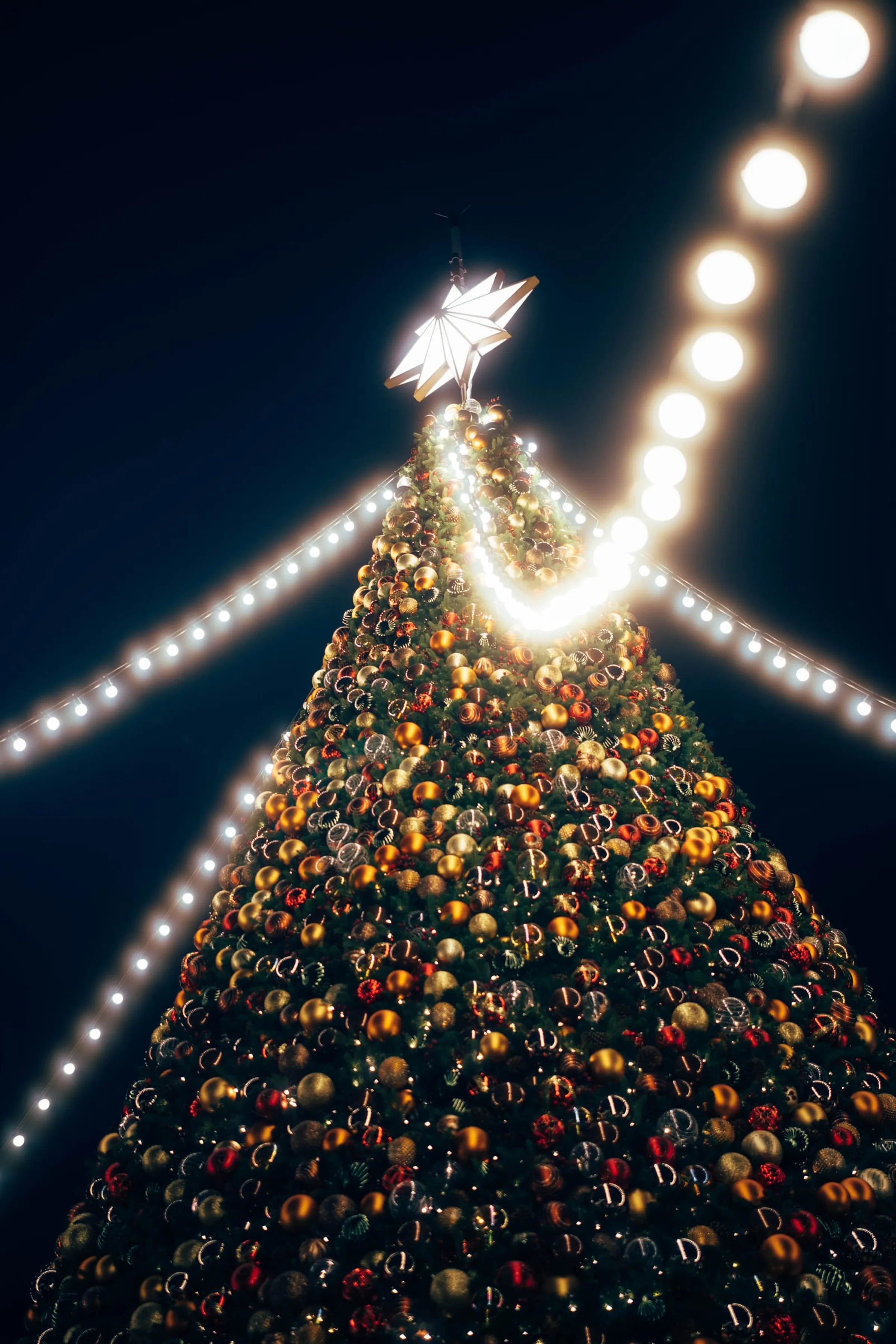 December Liturgy · 11