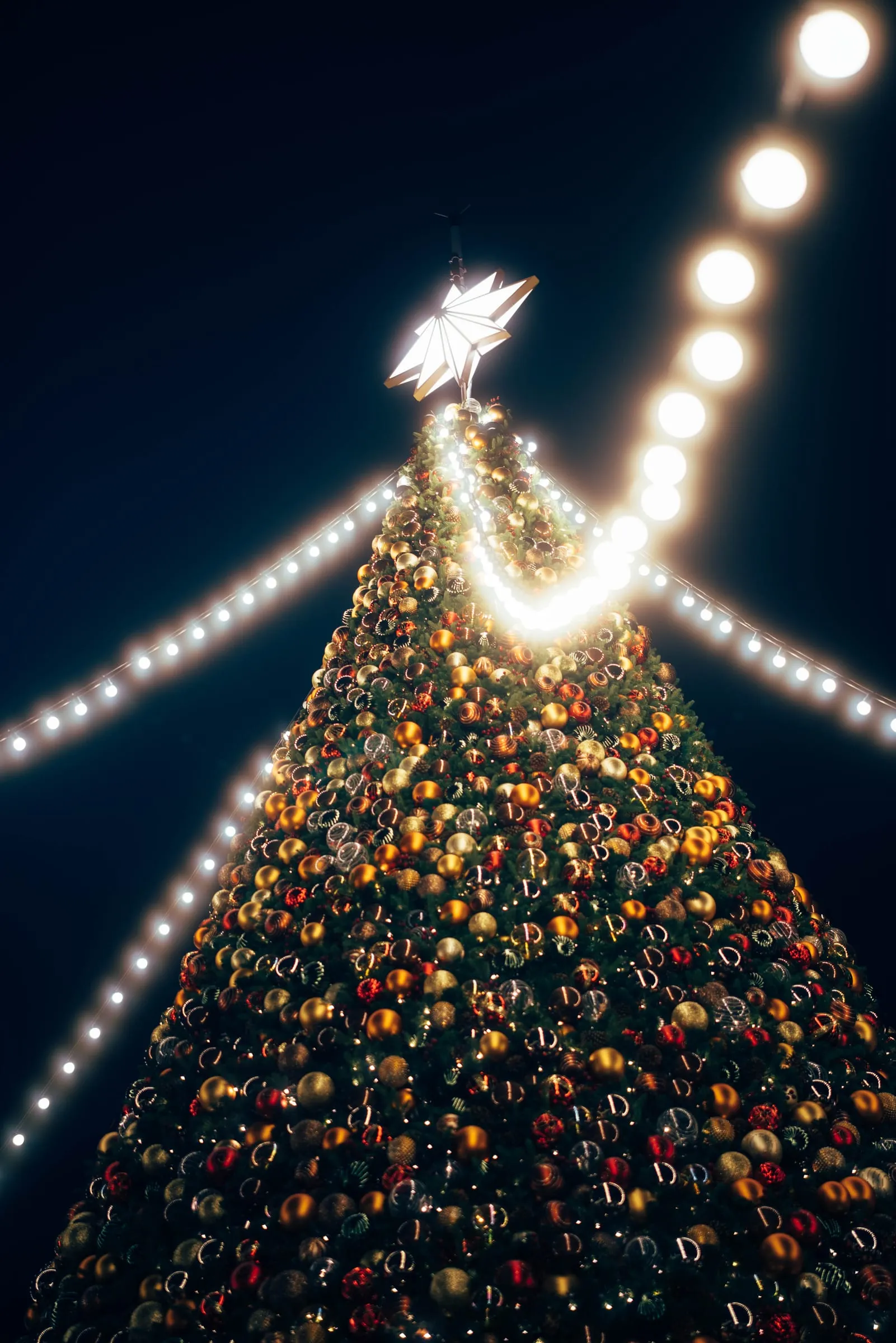 Hong Kong Christmas #11