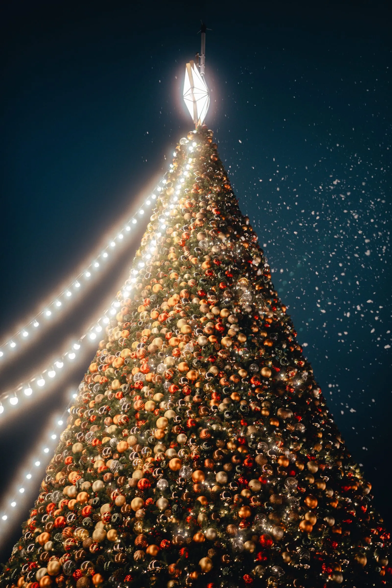 Hong Kong Christmas #14