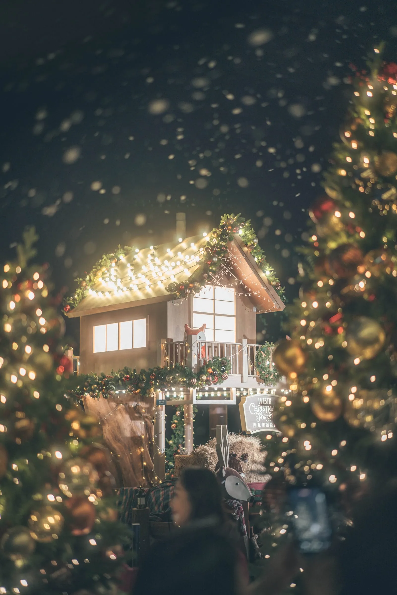 Hong Kong Christmas #15