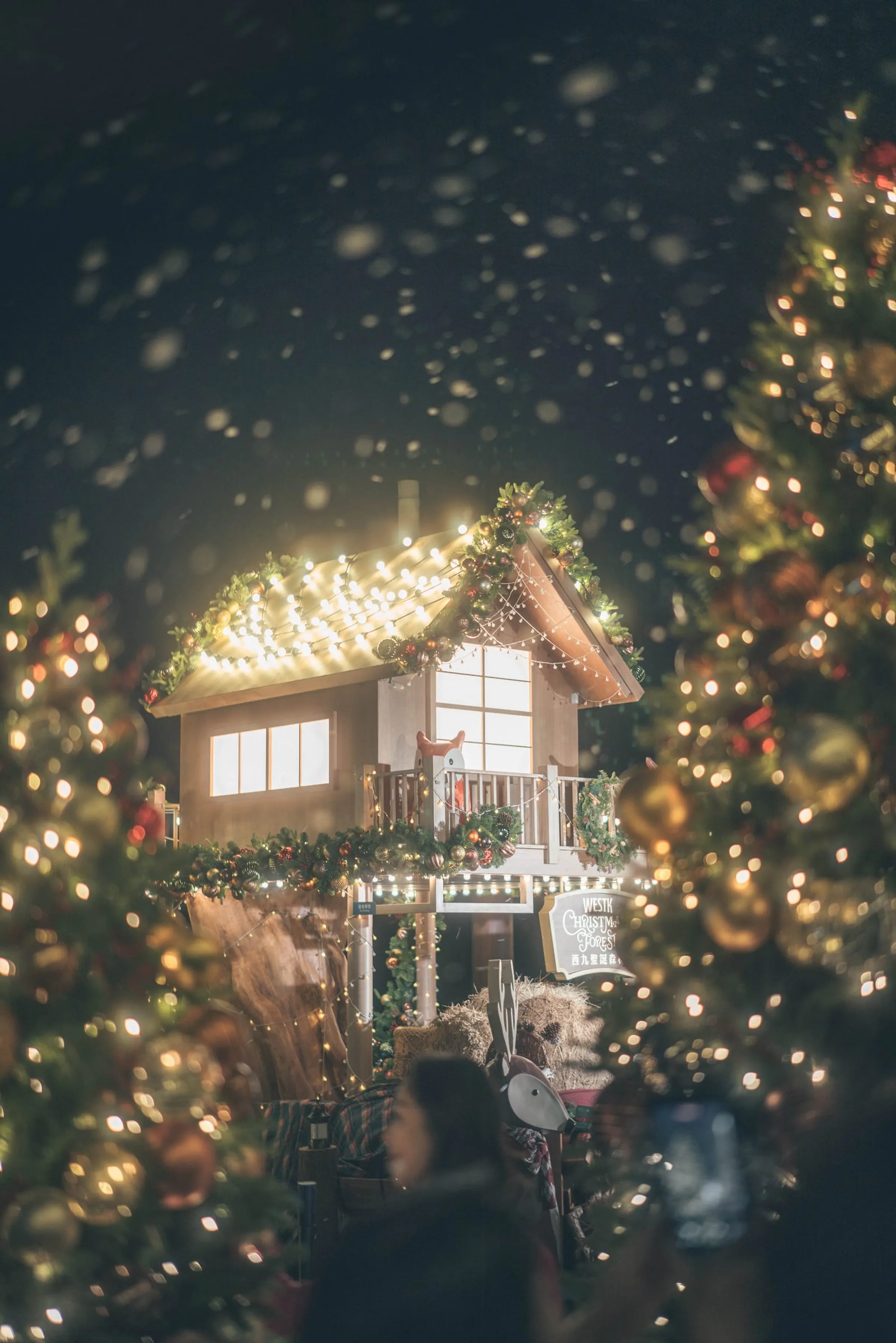 December Liturgy · 15