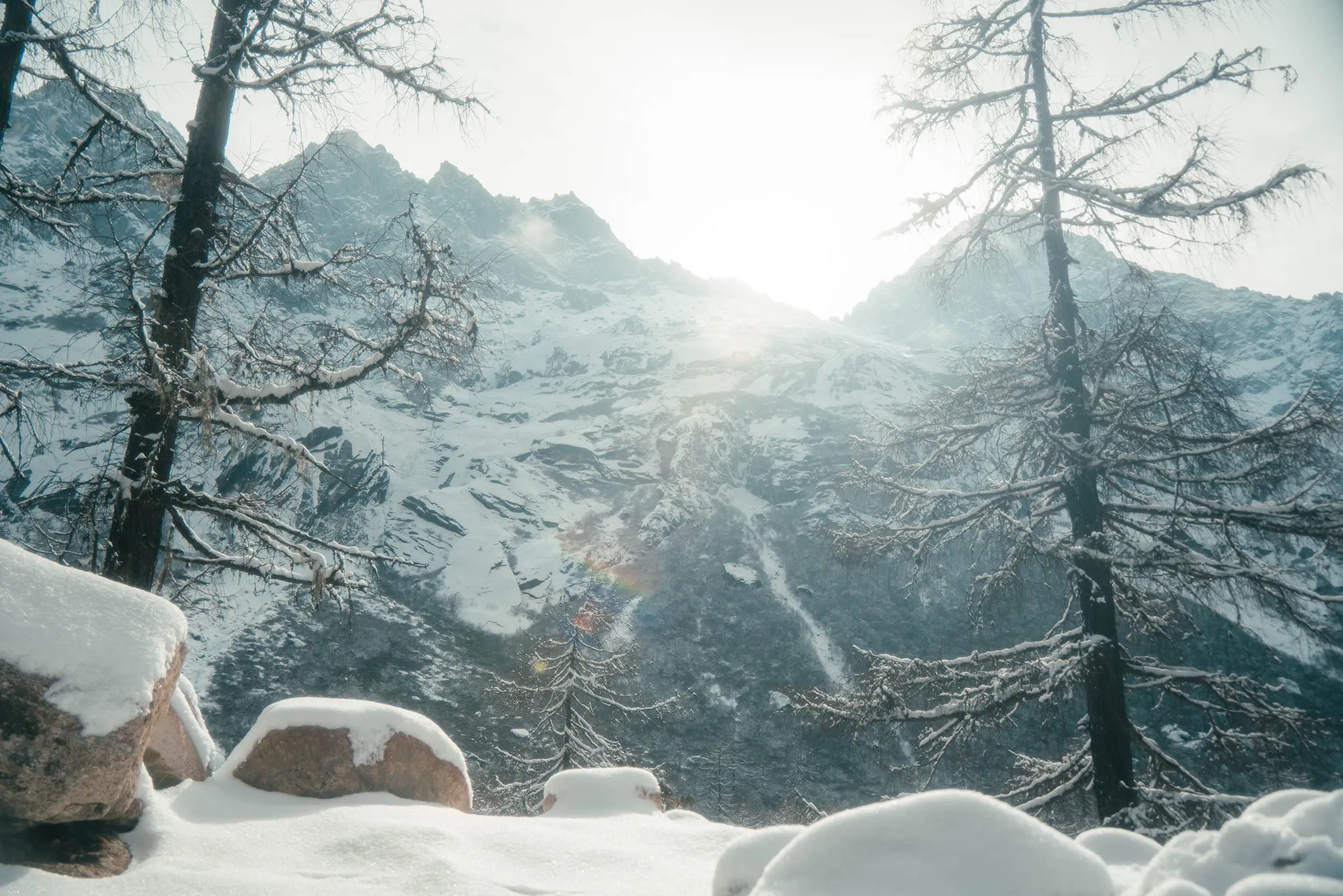 Snow Vein · 2