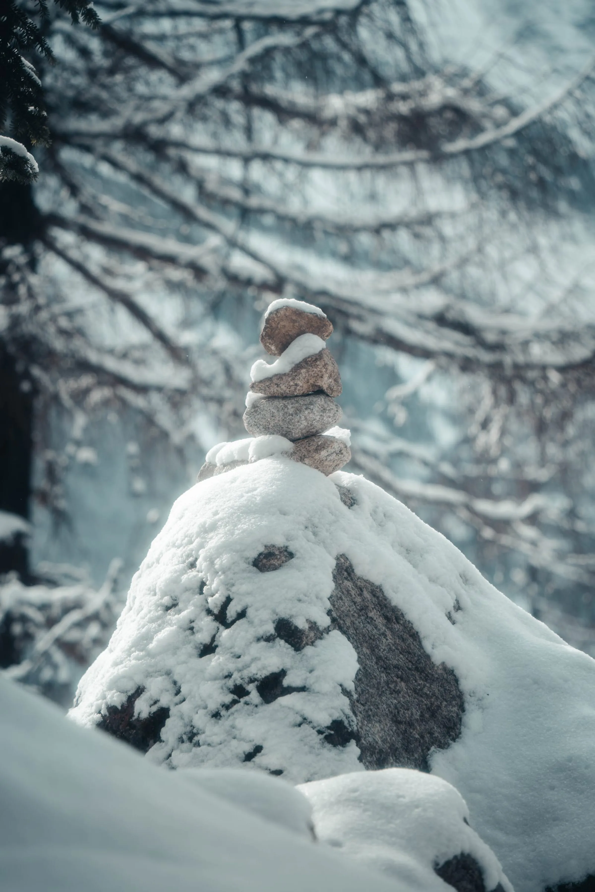 Snow Vein · 3