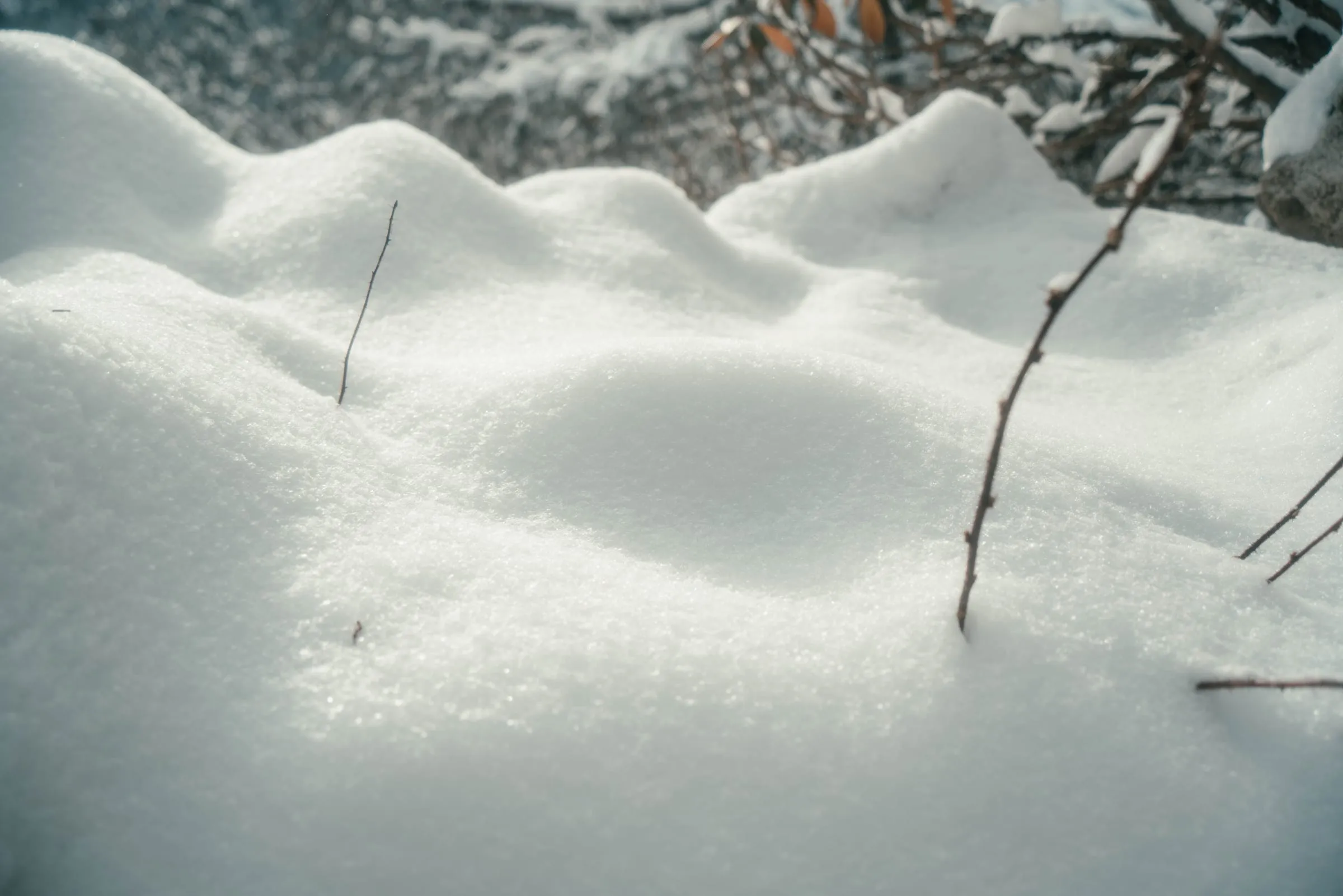 Snow Vein · 4