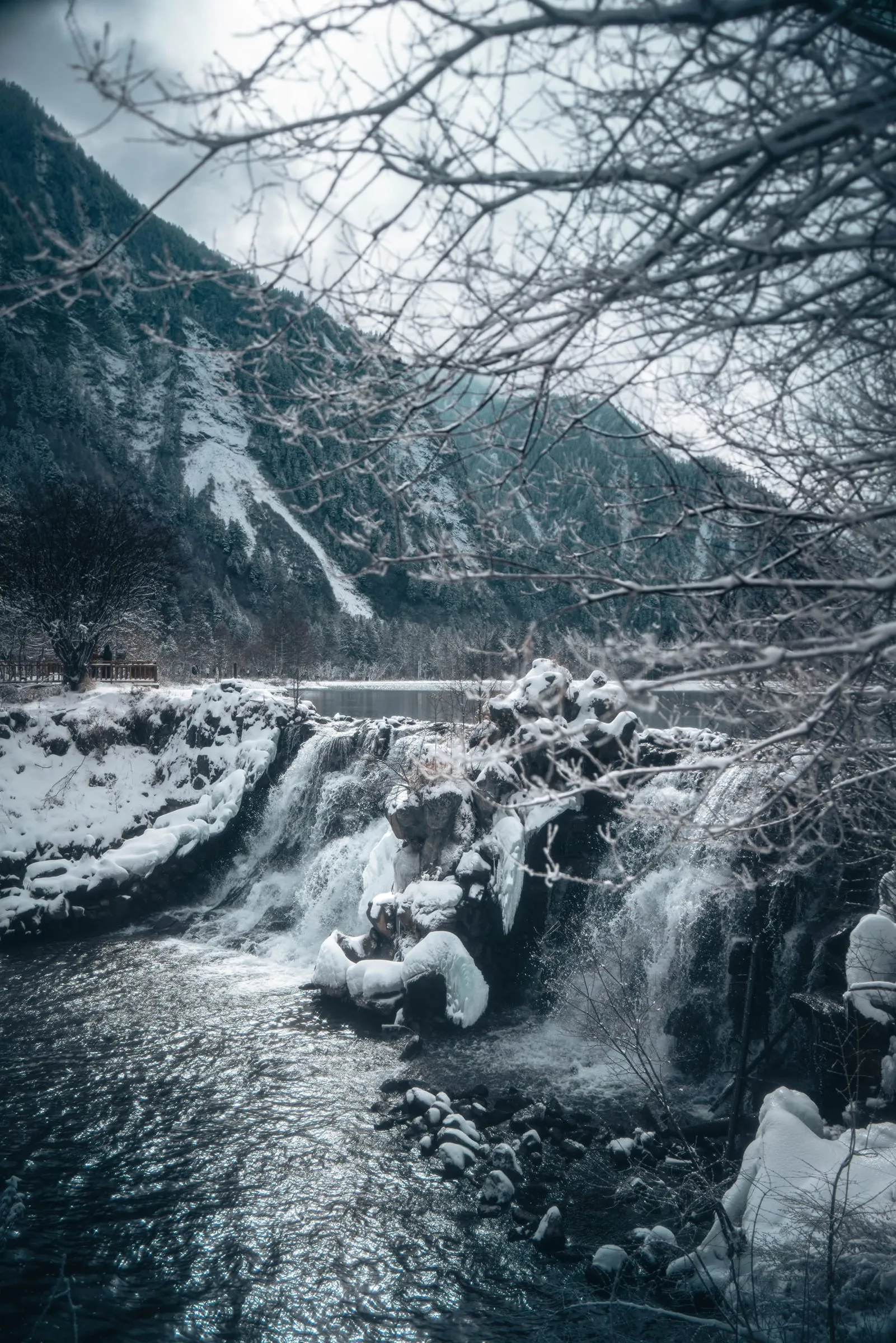 Snow Vein · 8