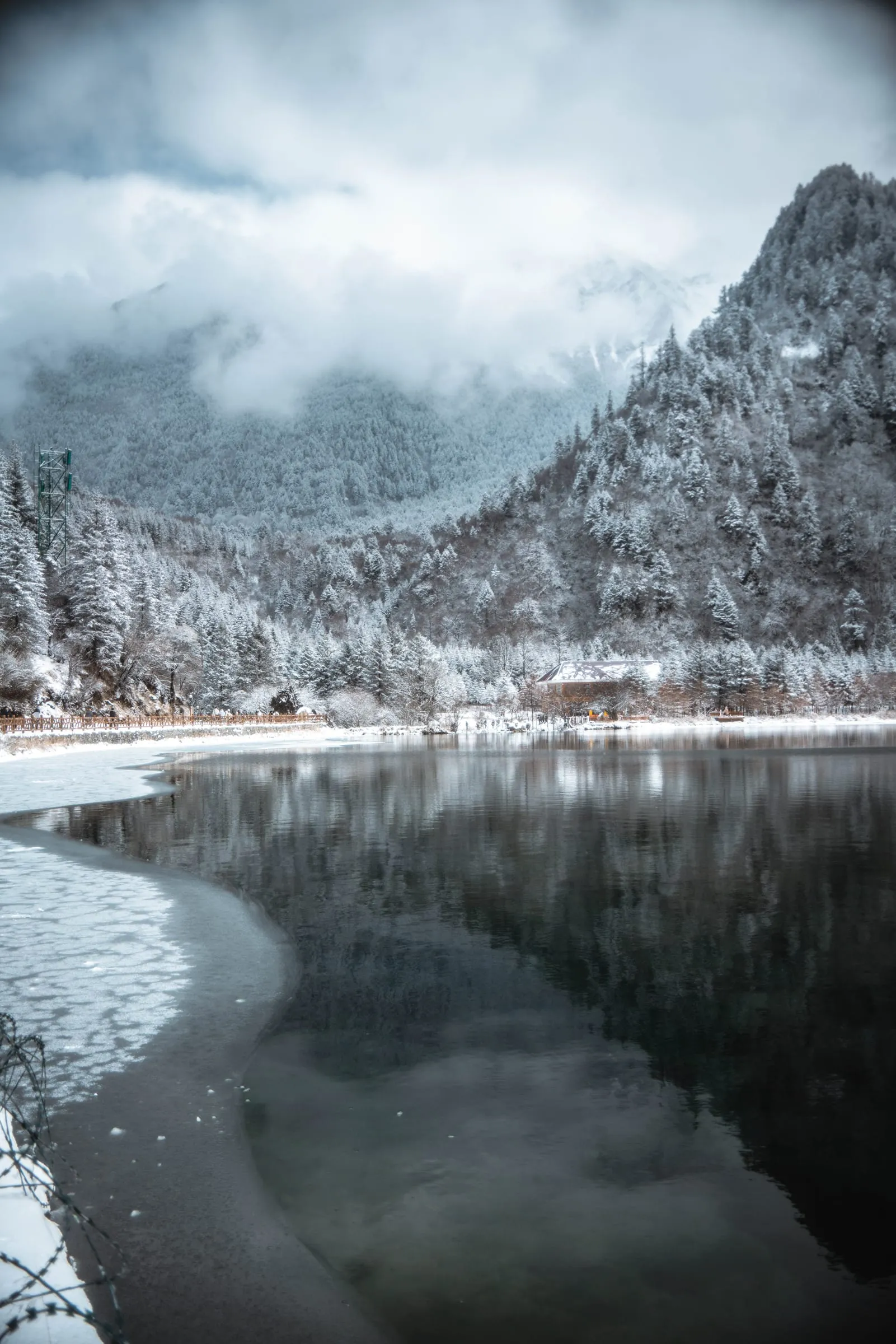 Snow Vein · 11