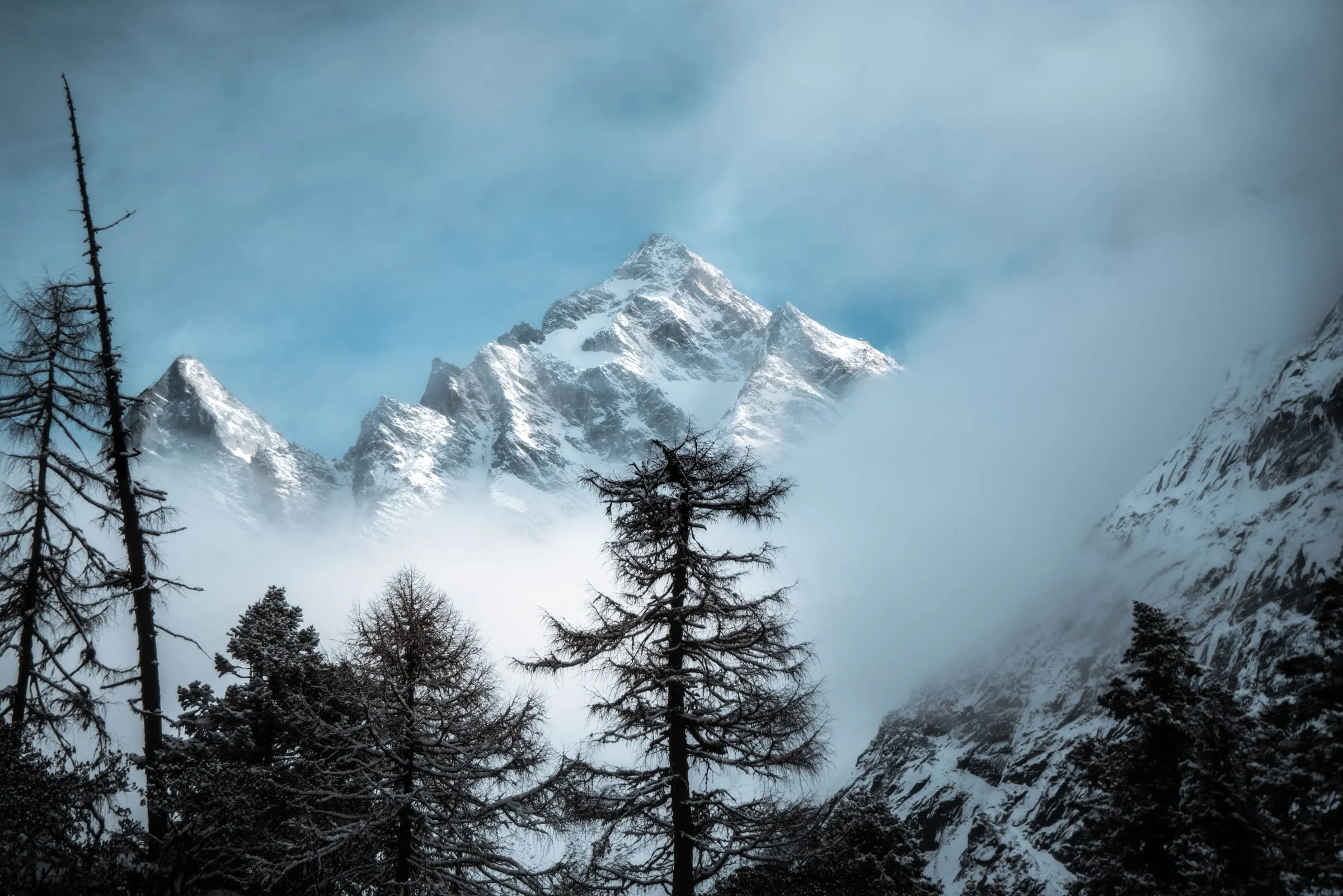 Snow Vein · 14