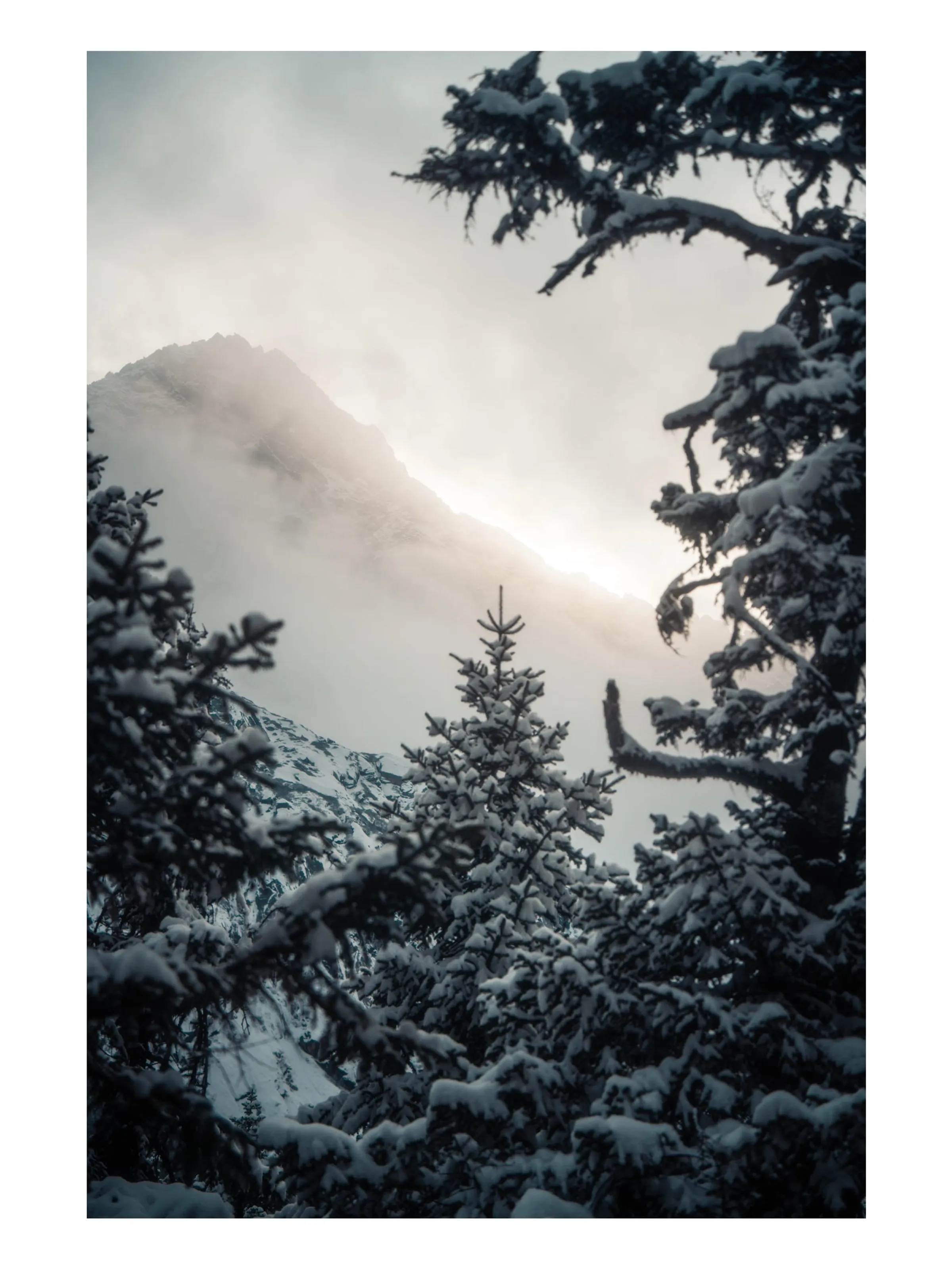 Snow Vein · 15