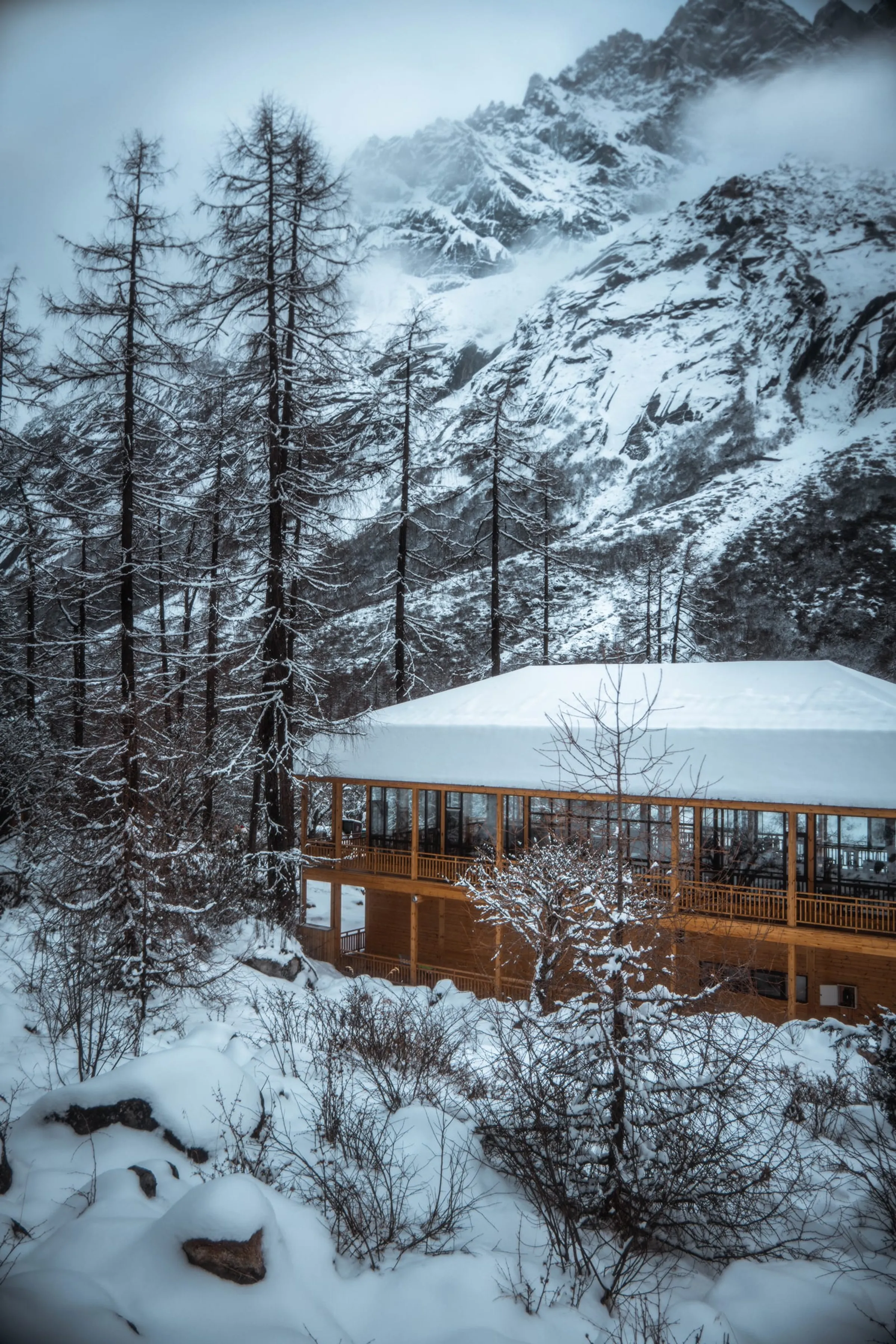 Snow Vein · 17