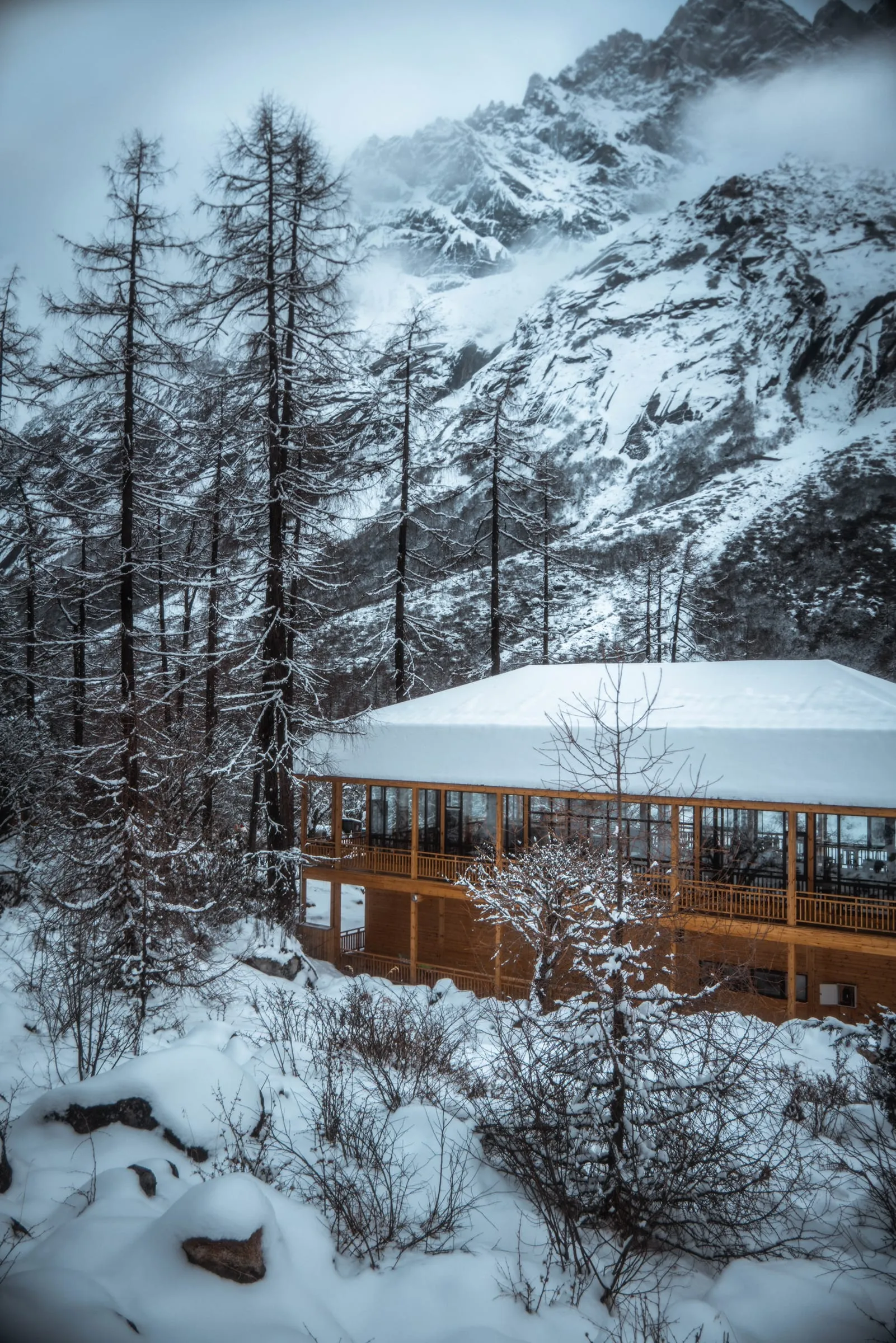 Snow Vein · 17