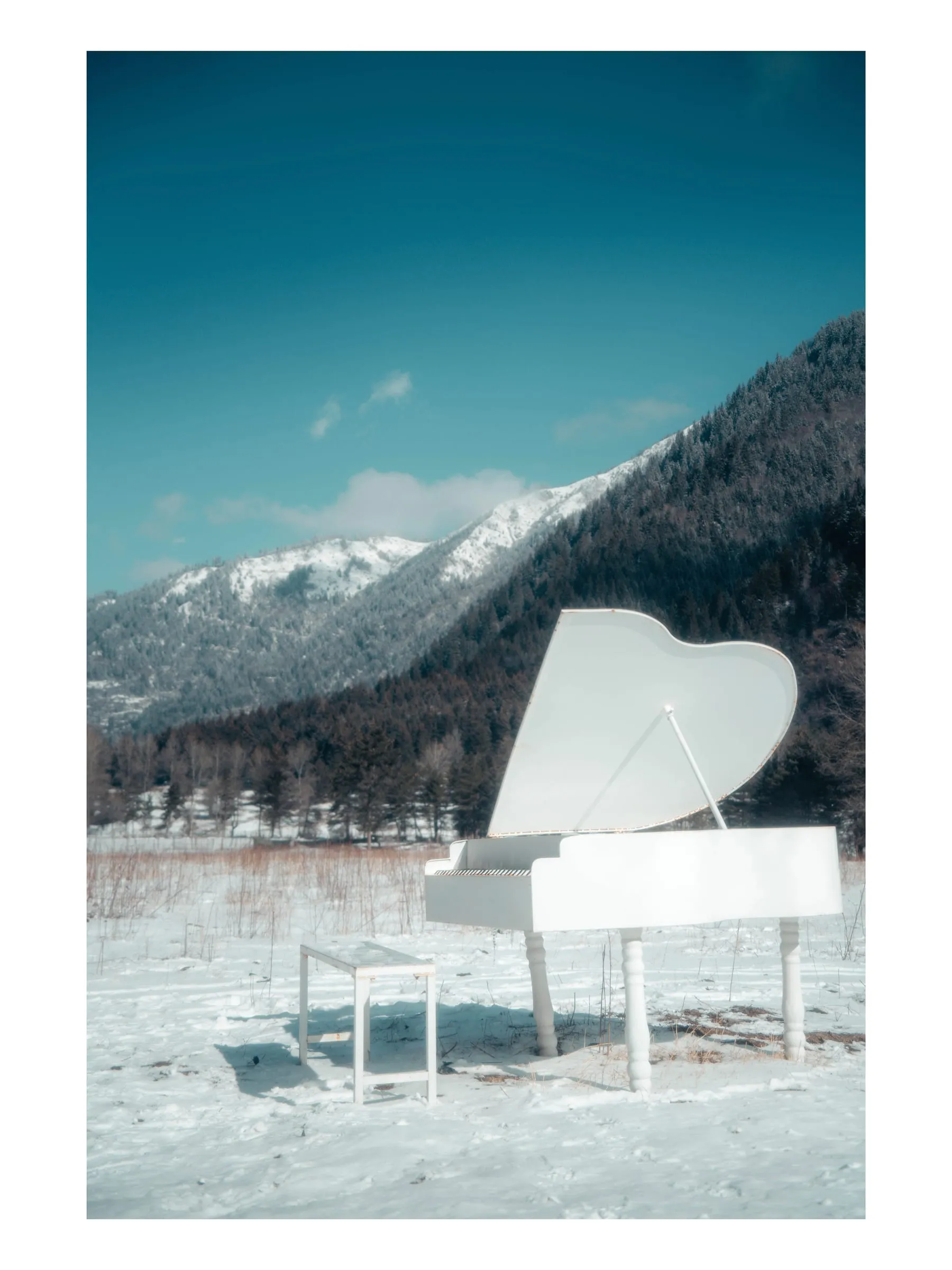 Snow Vein · 18