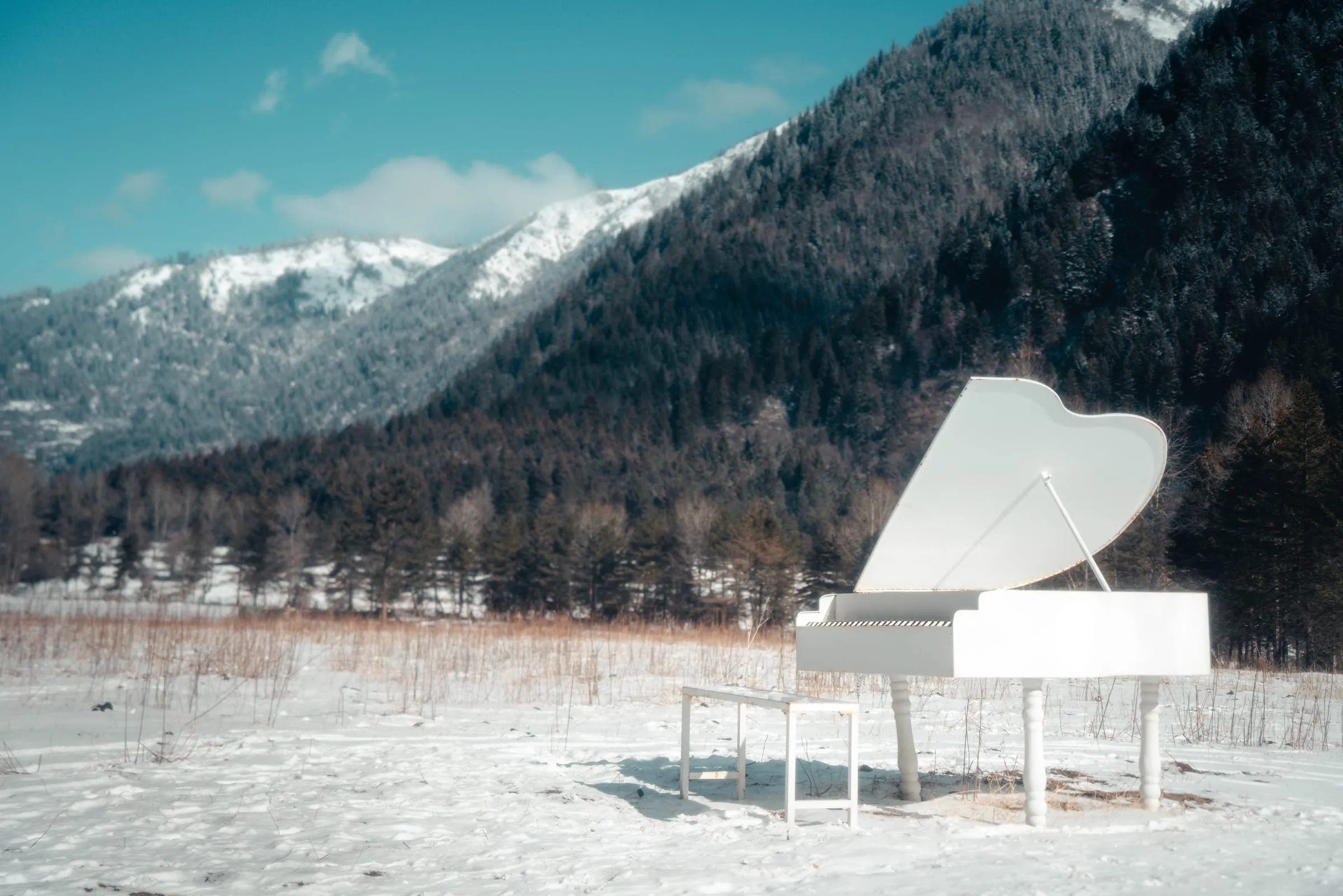 Snow Vein · 23