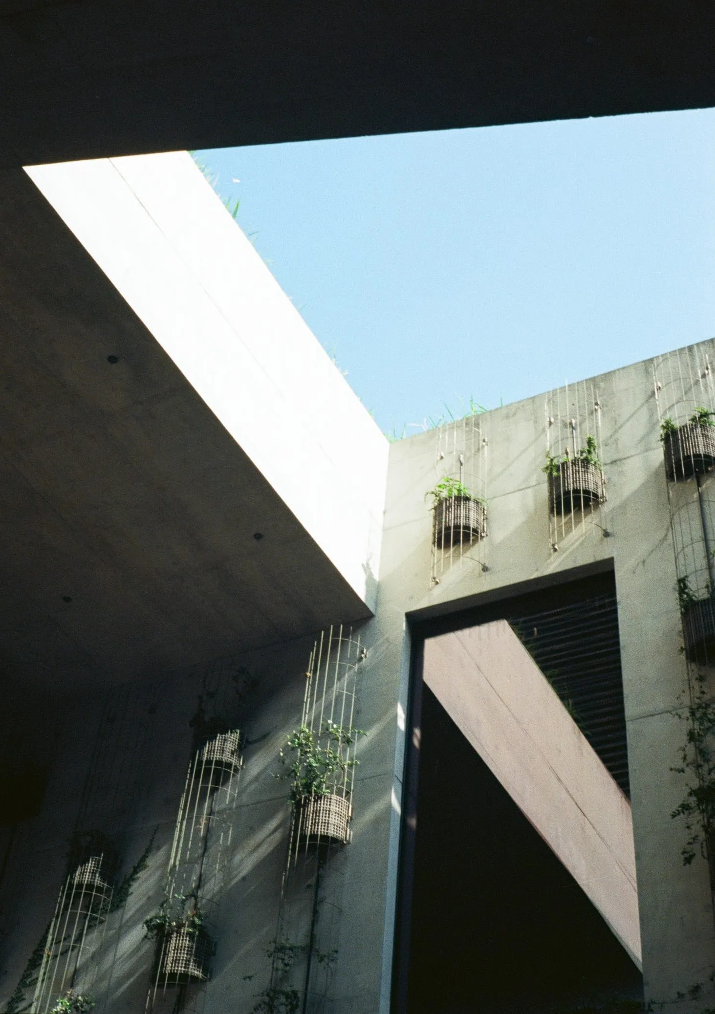 Sightline · 1