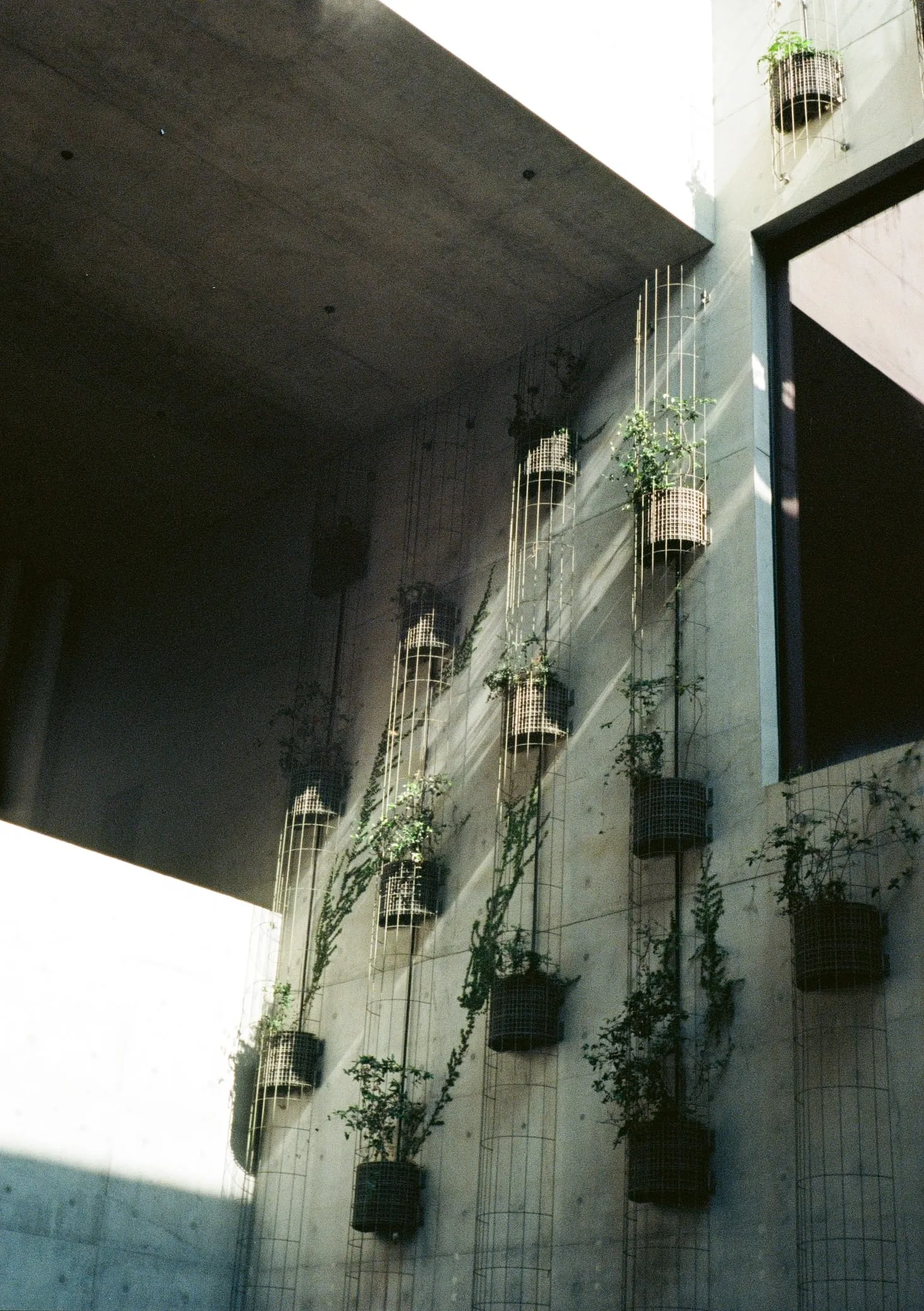Sightline · 2