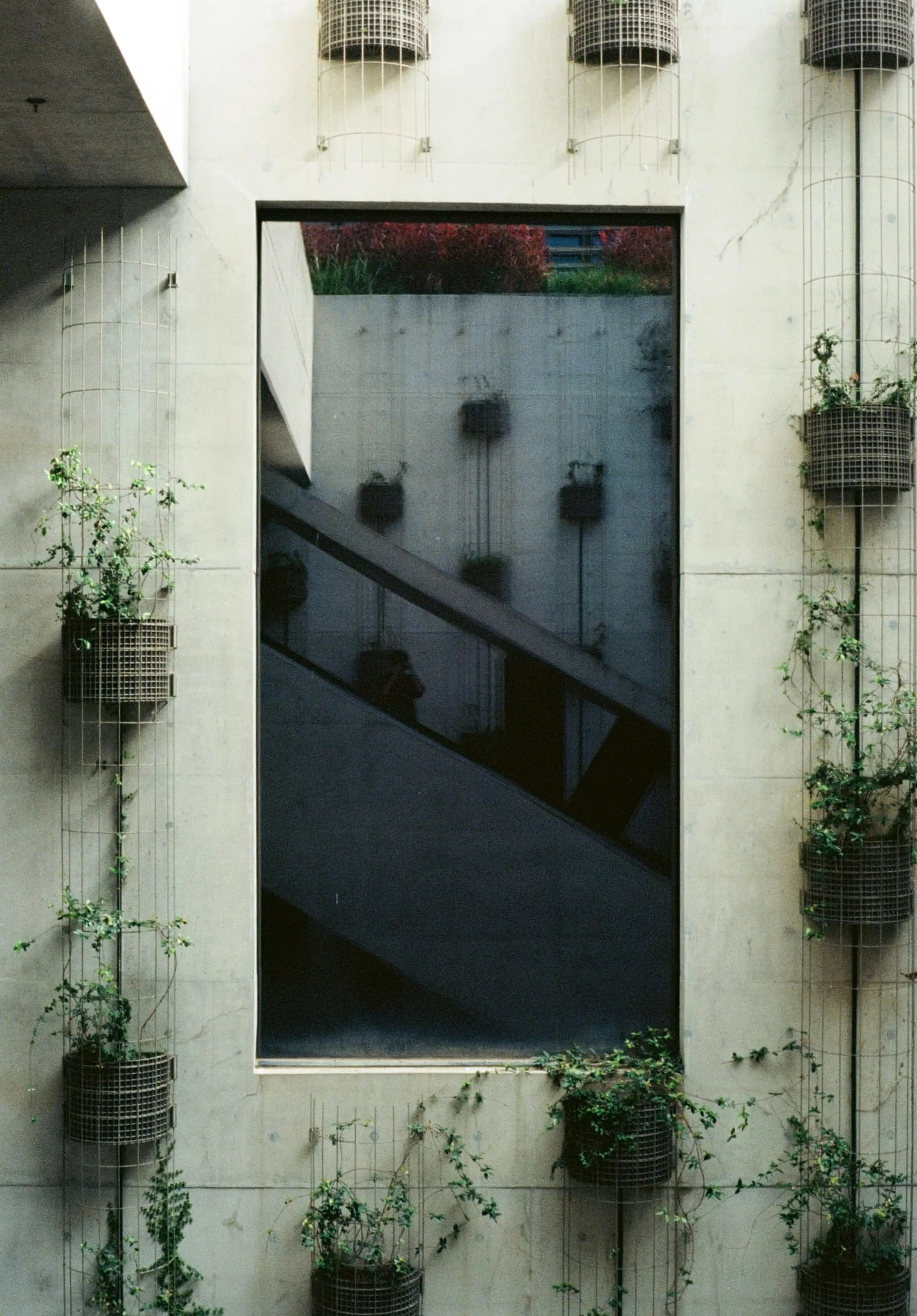 Sightline · 3