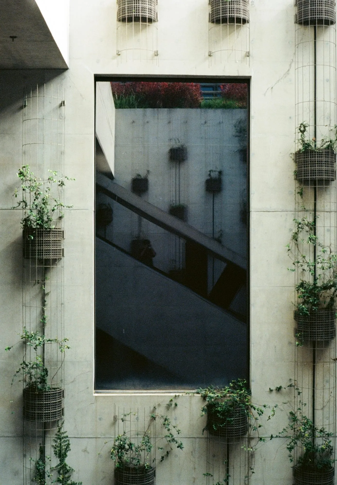 Sightline · 3