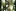 Sightline · 8