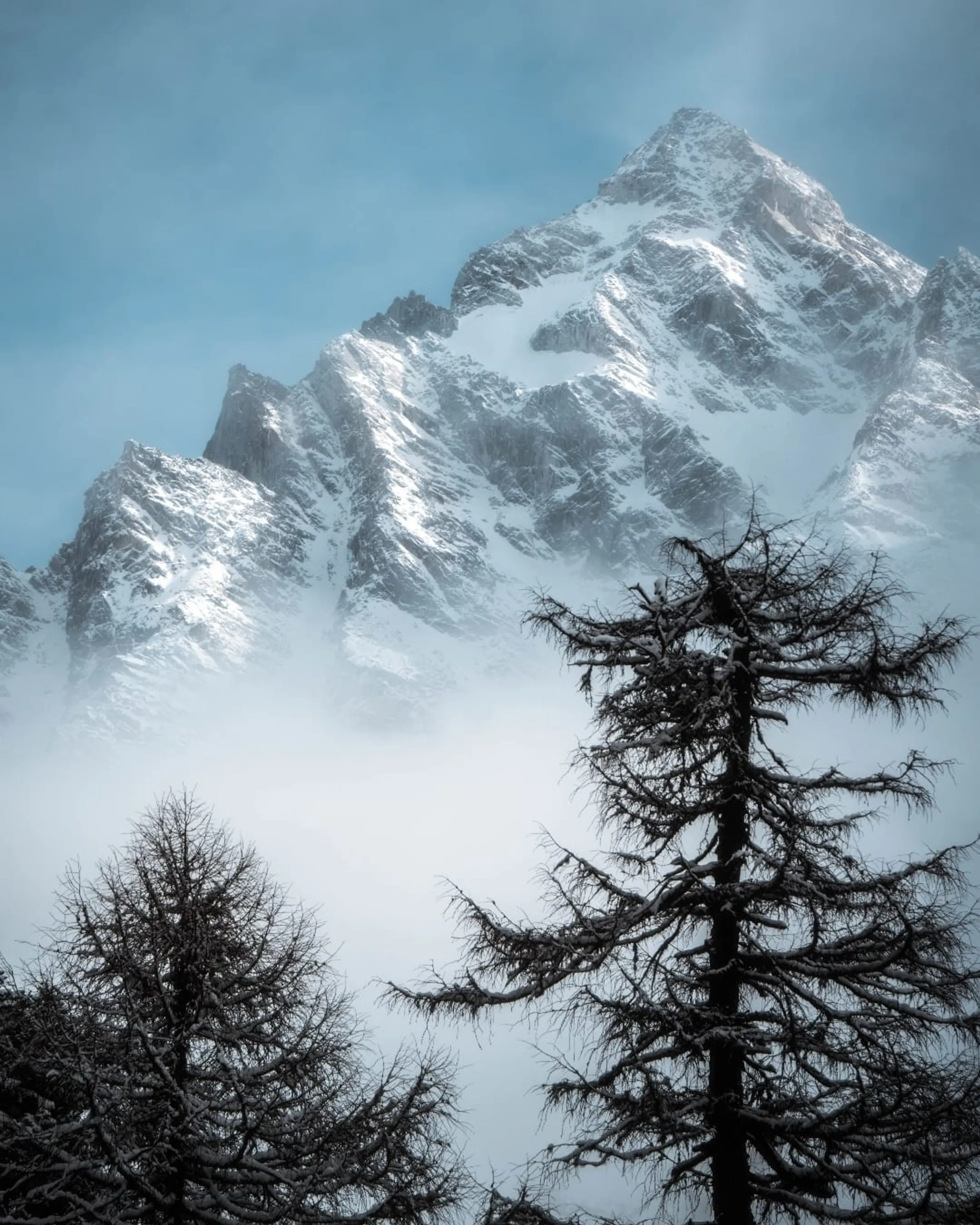 Snow Vein · 25